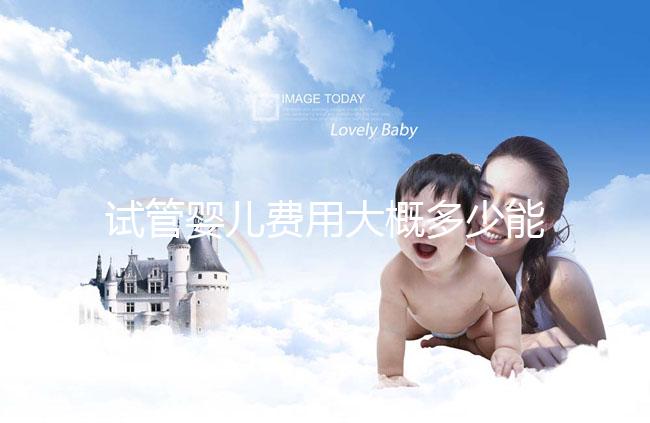 試管嬰兒費(fèi)用大概多少能報(bào)銷(試管嬰兒費(fèi)用大概多少能報(bào)銷醫(yī)保)