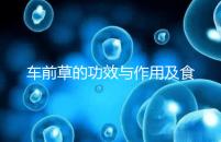 車前草的功效與作用及食用方法(男性長(zhǎng)期喝車前草好處)