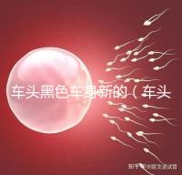 車頭黑色車身新的(車頭黑色車身新的好看嗎)