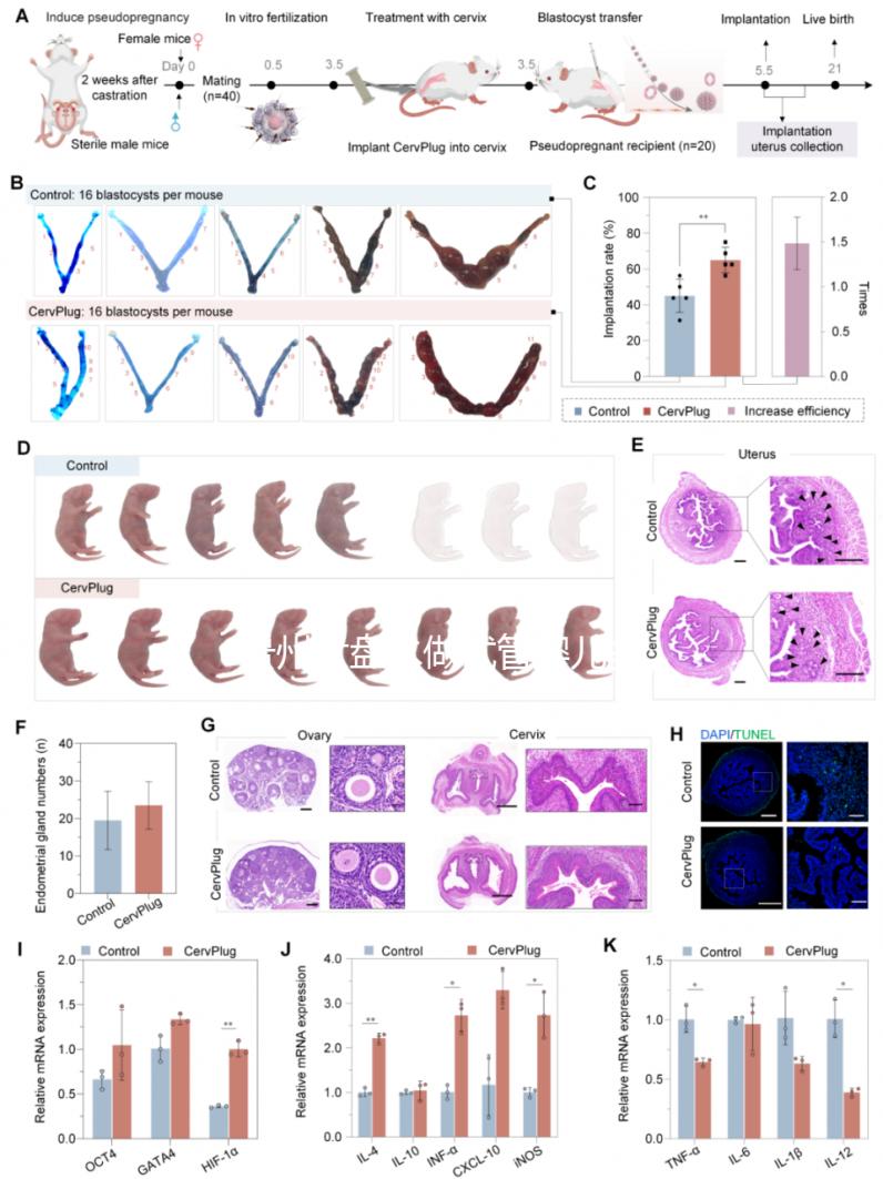 貴州六盤(pán)水做試管嬰兒多少錢(qián)?能做試管的醫(yī)院名單來(lái)了