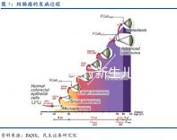 貴陽各區(qū)實行新生兒零門檻落戶,辦理不超過15個工作日
