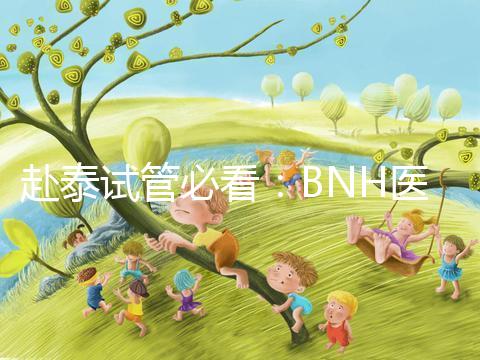 赴泰試管必看:BNH醫(yī)院具體地址及周邊酒店介紹