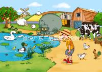 誰(shuí)說(shuō)廣東三胎政策還沒(méi)到開(kāi)放時(shí)間，2024年佛山獎(jiǎng)勵(lì)有限