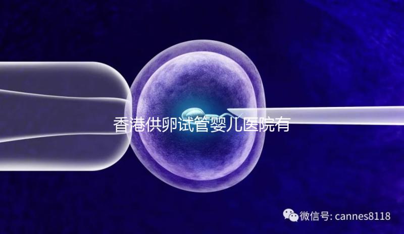 香港供卵試管嬰兒醫(yī)院有哪些點?附2024私立機構(gòu)排名