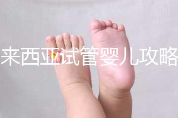 馬來西亞試管嬰兒攻略,試管流程及費用看完就懂