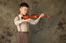 馬齒筧的功效(馬齒莧對男性性功能作用)