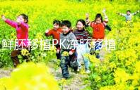 鮮胚移植PK凍胚移植,二者區(qū)別告訴你哪個(gè)好