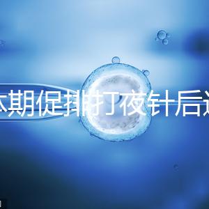 黃體期促排打夜針后還要吃地屈孕酮!服用后作用可真不少