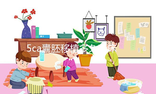 5ca囊胚移植多久著床、有何反應答案來了，第8天白板要警惕