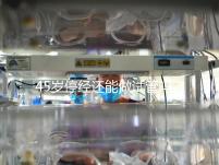 45歲停經還能做試管嗎？成功懷孕幾率深入解析