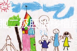 9細(xì)胞二級(jí)胚胎移植后8天沒感覺,成功率依然很高