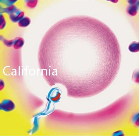 California Cryobank，加州精子銀行實(shí)用指南