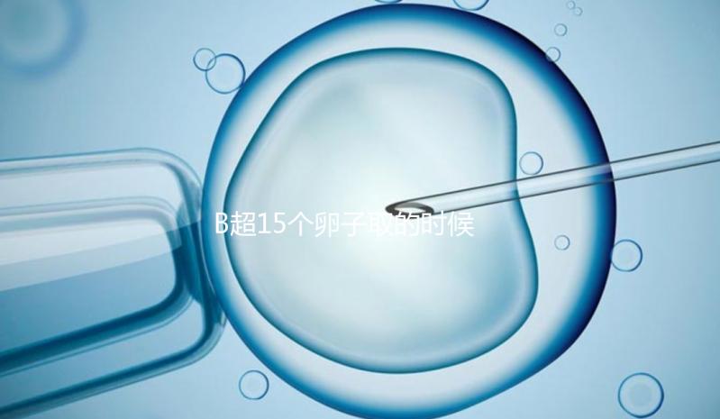 B超15個卵子取的時候只取了8個有原因的卵子，看起來不正常很清楚