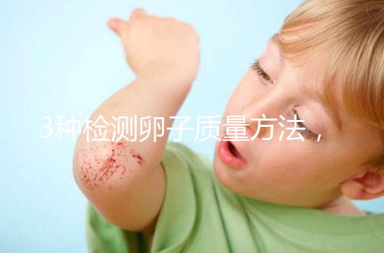 3種檢測卵子質(zhì)量方法,怎么做才能促進卵泡發(fā)育