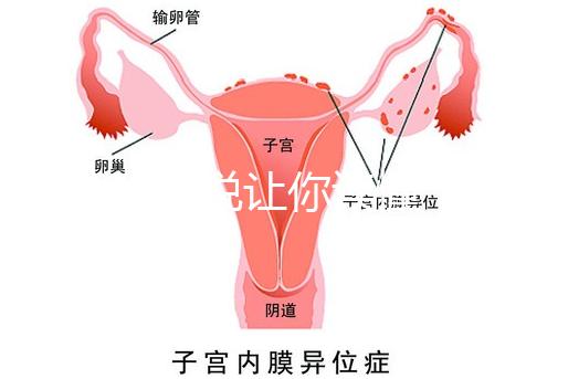 1分鐘解說(shuō)讓你讀懂,排卵試紙白板一根線等各個(gè)反應(yīng)