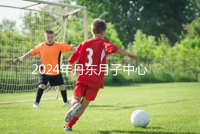 2024年丹東月子中心收費(fèi)標(biāo)準(zhǔn),能否接生問題整理,想要制作的戳