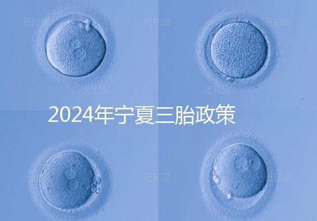 2024年寧夏三胎政策最新規(guī)定來襲,附西夏區(qū)實施時間