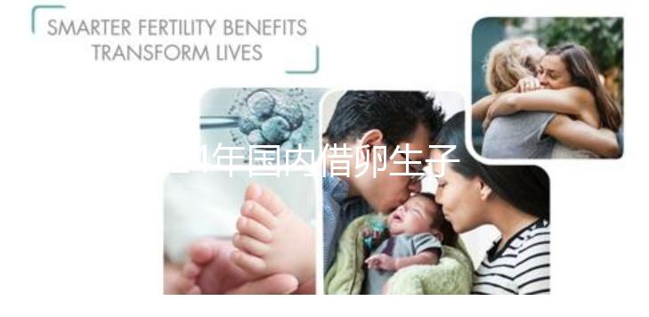 2024年國內借卵生子私立醫院哪里最好？上海集愛排名前三