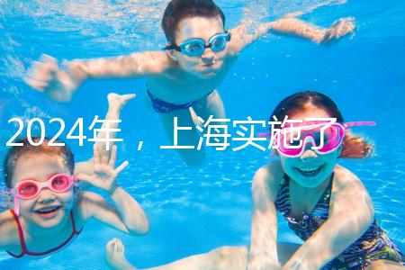 2024年，上海實(shí)施了新的生育保險(xiǎn)政策，單獨(dú)生兩個(gè)孩子也可以享受待遇