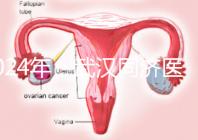 2024年，武漢同濟醫院不孕癥醫生排名公布，選擇專家迅速登記