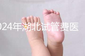 2024年湖北試管費醫(yī)療保險可以報銷？專家：時間還沒到？