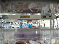 2024天津和平區(qū)婚檢預(yù)約并不難!最重要的是找到免費(fèi)醫(yī)院!