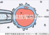 2025年解放軍總醫(yī)院第七醫(yī)學中心做試管嬰兒的費用明細,現(xiàn)在做試管多少錢?