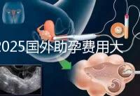 2025國外助孕費(fèi)用大公開:單身人士費(fèi)用對比與機(jī)構(gòu)推薦