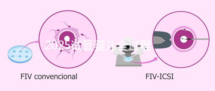 2025試管嬰兒全過程一共七個(gè)階段是怎么操作和具體時(shí)長一覽