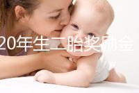 2020年生二胎獎(jiǎng)勵(lì)金額揭秘,符合條件的媽媽可以領(lǐng)取了!